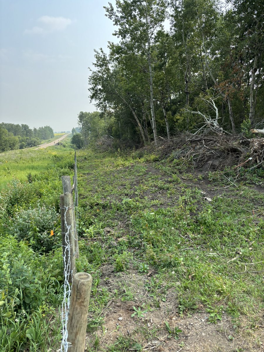 Dale Atkinson PAg tweet media