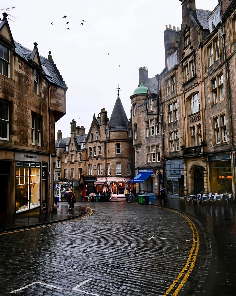 WildscapeWonder's tweet image. Edinburgh, Scotland 🏴󠁧󠁢󠁳󠁣󠁴󠁿