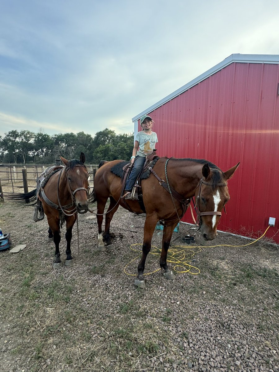 silagechopper's tweet image. 9 hours of sorting cattle, loading yearlings and gathering in the dust and heat. Only the last hour did she say “I’m starting to get tired, but I’m not quitting”..