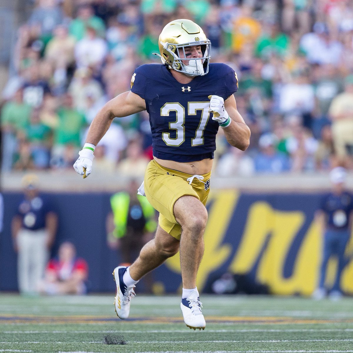 tbhorka's tweet image. 37 days until Notre Dame football ☘️