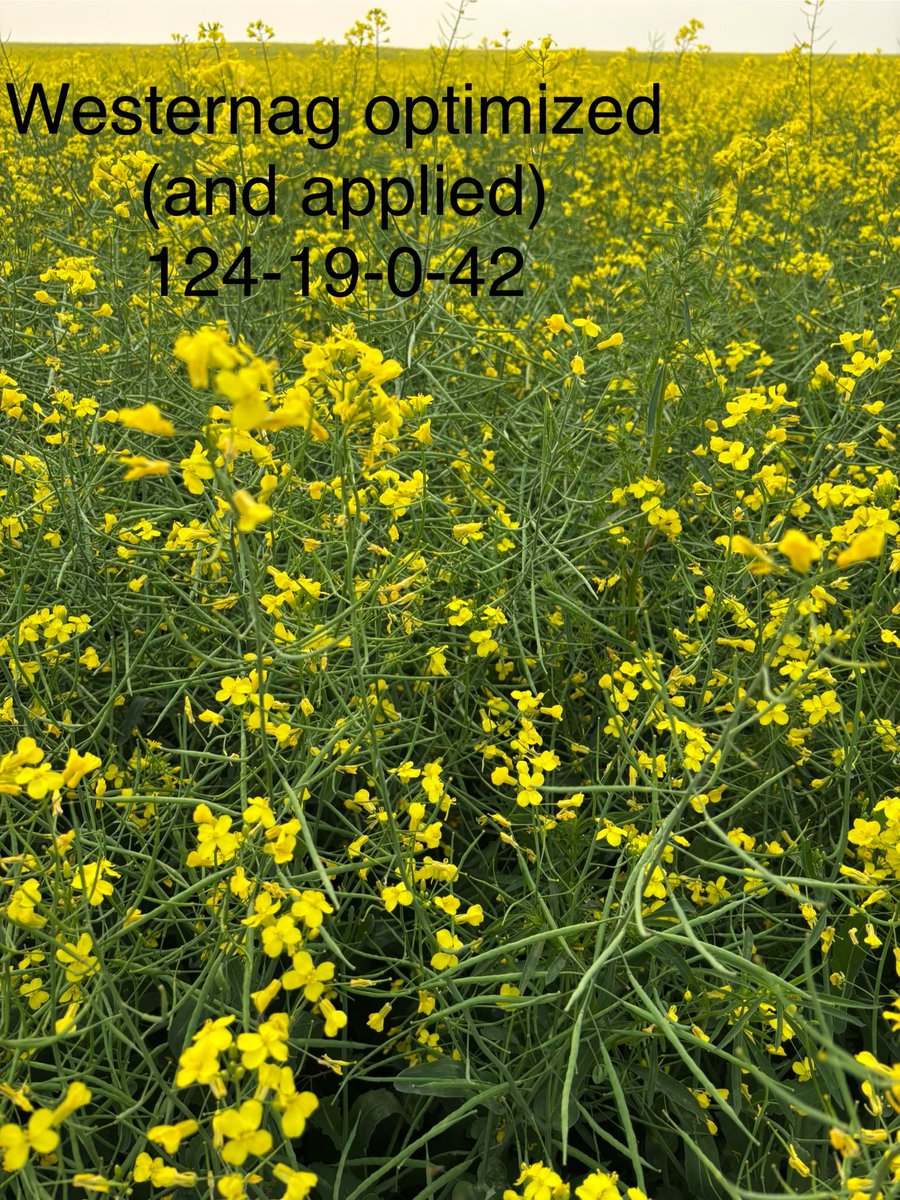 Guy Keeler PAg tweet media