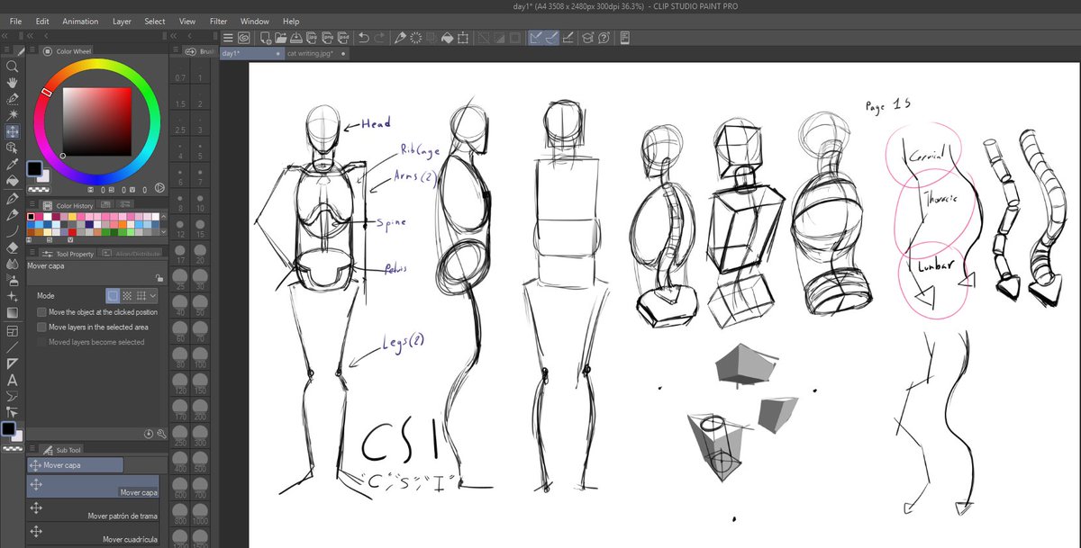 Angie_Cheem♡ tweet media