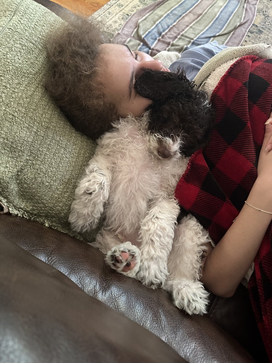CureNotCovered's tweet photo. Wilbur has quickly become Braelyn’s constant companion—and the best kind of medicine. (Proverbs 17:22)

Grateful for these quiet moments of rest and healing. 🐾💤
#BraelynAndWilbur #CureNotCovered #PuppyTherapy #TeamBraelyn https://t.co/ZswR2NjY5u