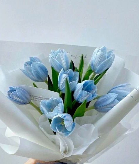 ♡ tweet media