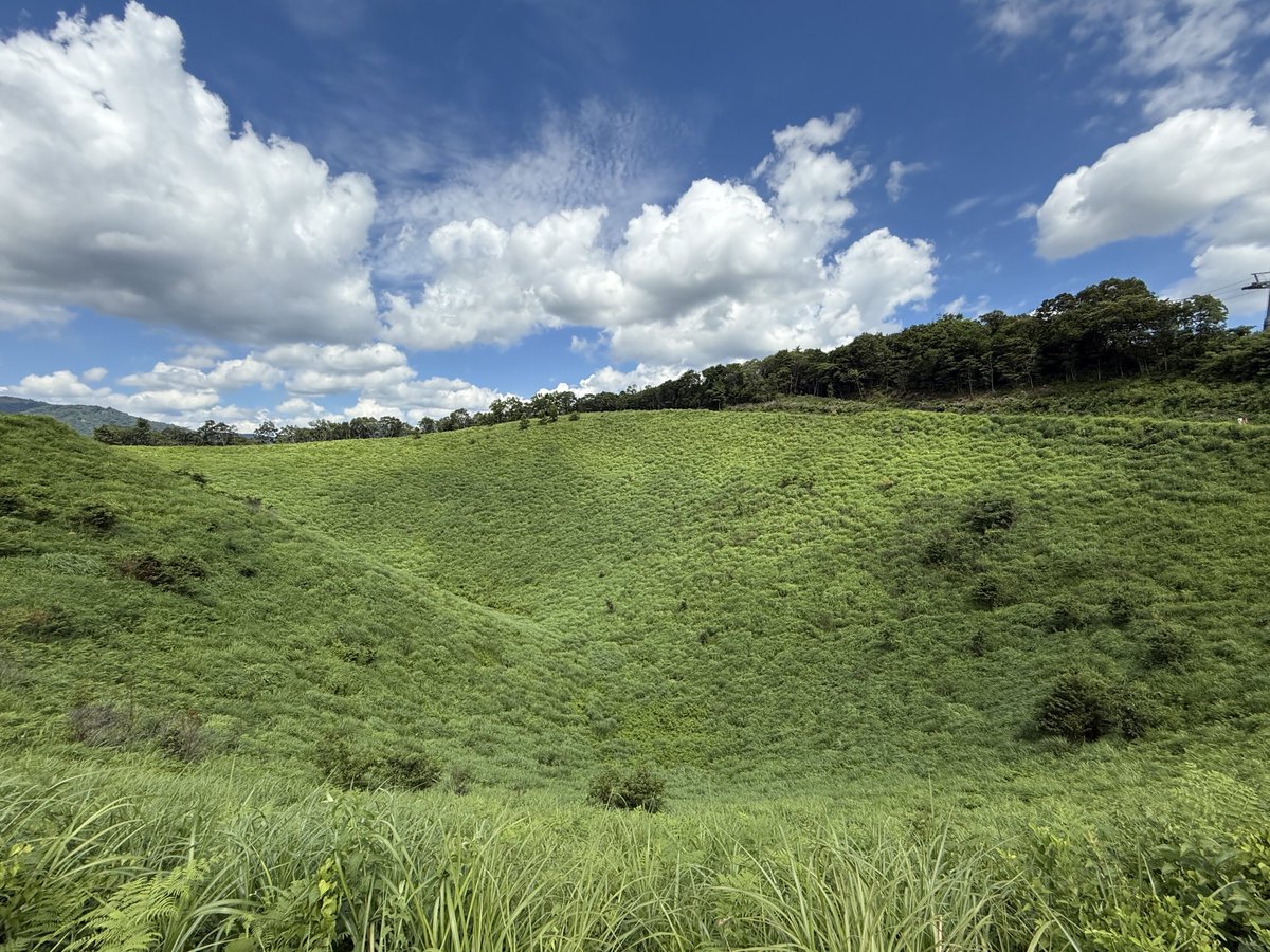 楢村匠 tweet media