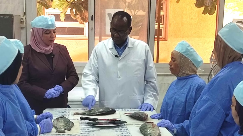 WorldFishCenter's tweet image. 🚺 Women make up half the workforce across #fisheries and #aquaculture value chains, yet still face barriers.
WorldFish and @NorwayInEgypt are piloted cold chain solutions through workshops to empower these women #fishworkers.
#AquaticFoods #GenderEquality #SharedProsperity
