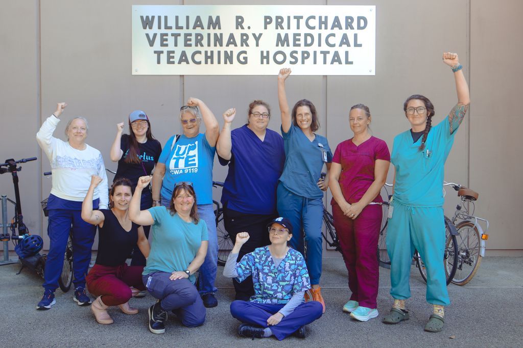 UPTECWA's tweet image. The @UCDavis Veterinary Medical Teaching Hospital is world-class due to the tremendous work that UPTE members do—but that doesn't mean our workplace is without its issues. Today, we marched on the boss for retaliating against members who speak out about their concerns 💪 🐴 🐶