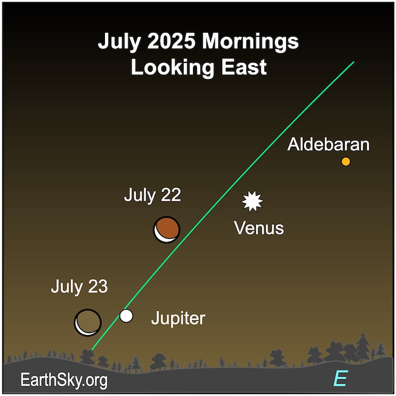 kimrunner's tweet image. On July 22, before sunrise, the waning crescent moon will lie between brilliant Venus and bright Jupiter. The bright star Aldebaran is nearby and adds to this intriguing celestial scene. Then, on July 23, the moon will be below Venus and close to Jupiter.
earthsky.org/astronomy-esse…