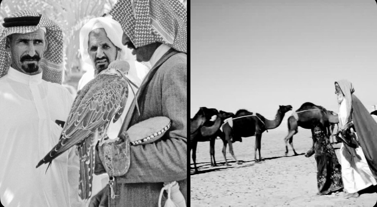 Qhta10ni's tweet image. ودك مايسج القفر بعد المطر والسيل
    الا  عاشقين الطير  ولا هل الناقه