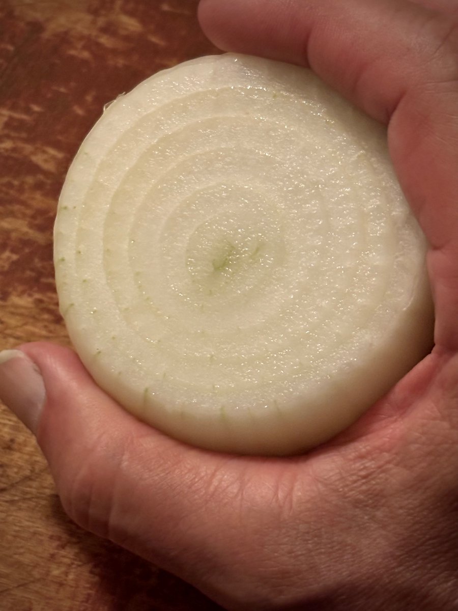 Clay_Staub's tweet image. Do you need a home grown Sweet White Onion-we’ve got you covered:)