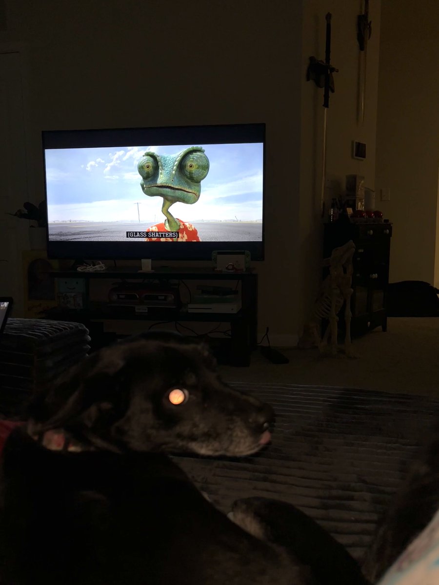 MochiFolf's tweet image. mmm rango looks tasty