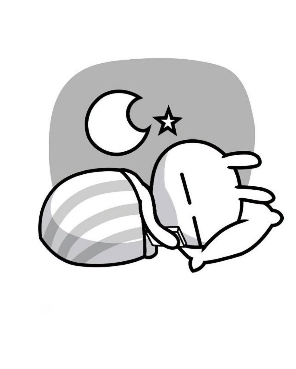 BigTexHodl's tweet image. Gn $TUZKI fam, we&apos;re so back