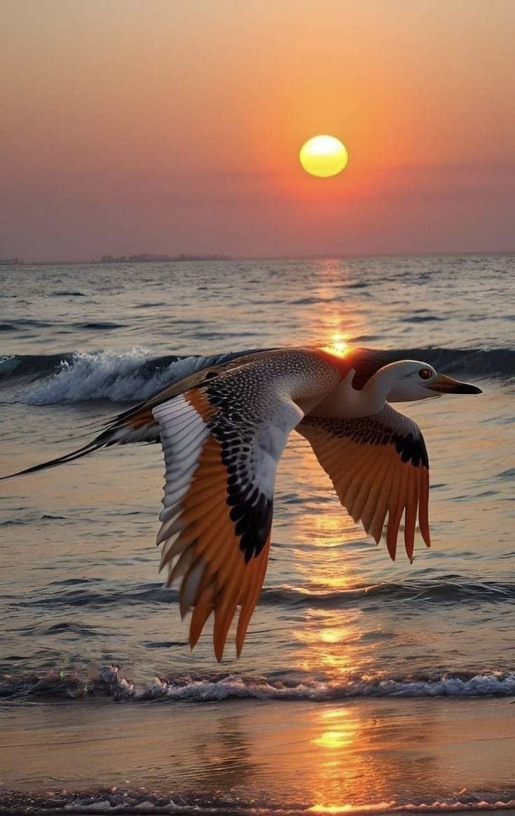 _usamediata's tweet photo. Sunset https://t.co/EX6mrkpqiu