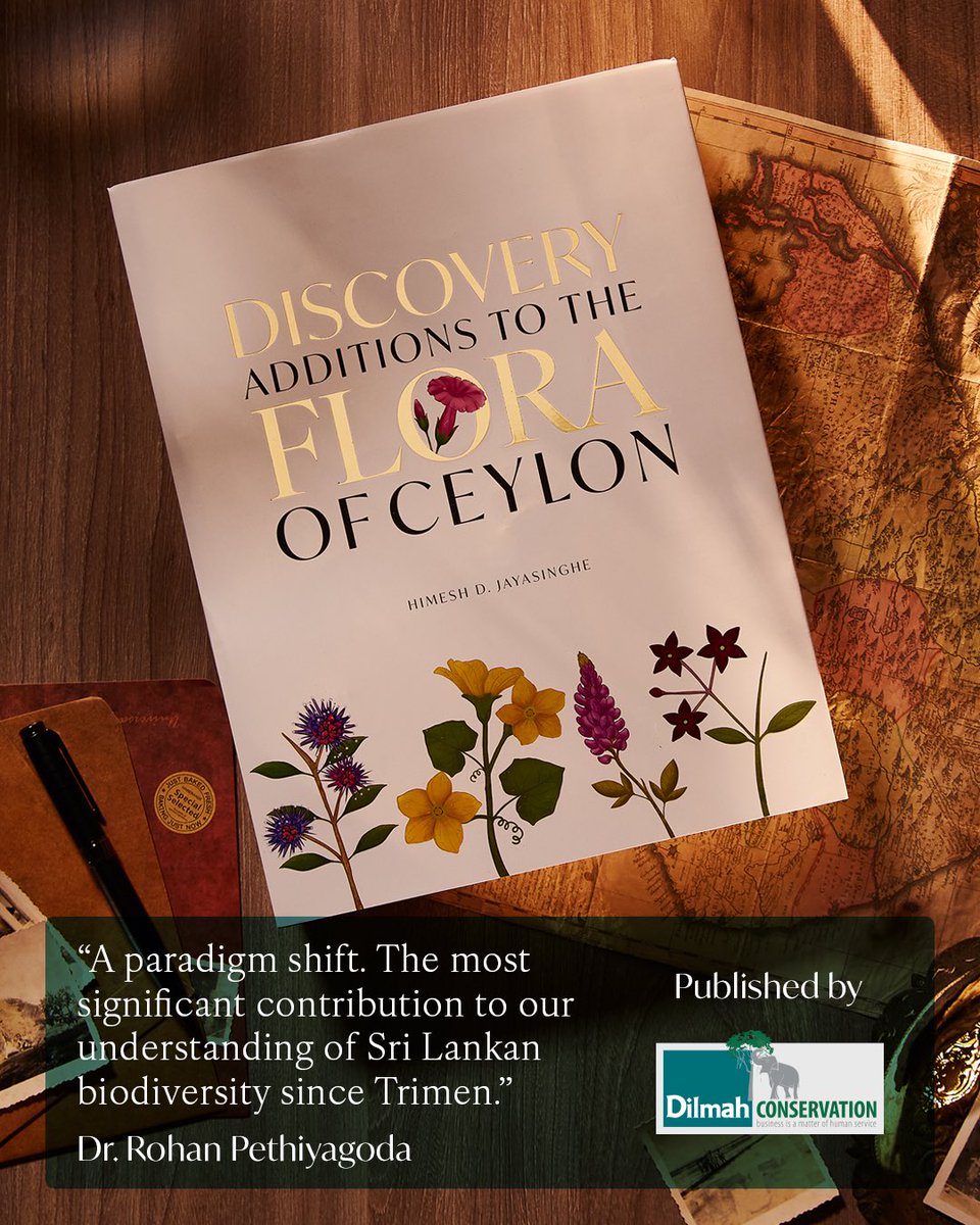 Dilhan C. Fernando tweet media