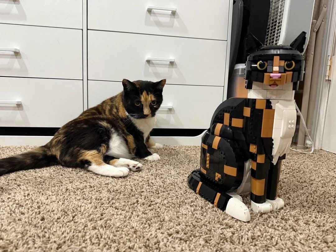 동족이 아닌가 진지하게 의심중