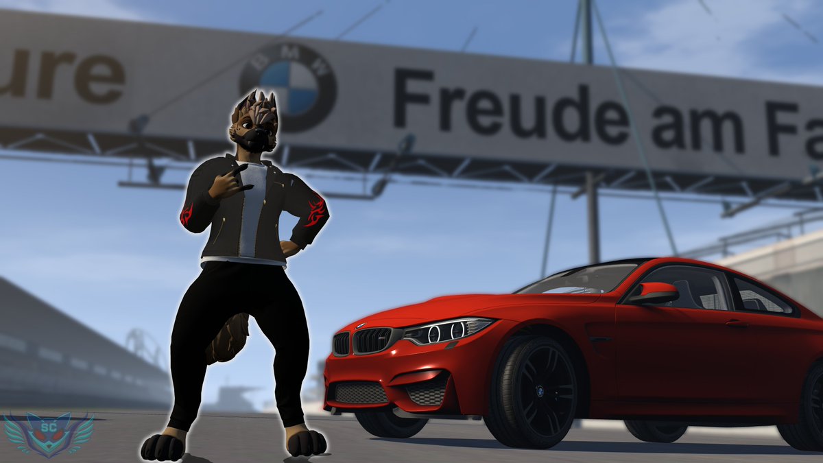 SethCooperrr's tweet image. Finished comm for @BlazinWolf23
A German Shepherd with the ultimate driving machine! 🚗💨