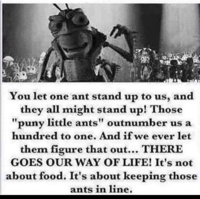 AMCbiggums's tweet image. 