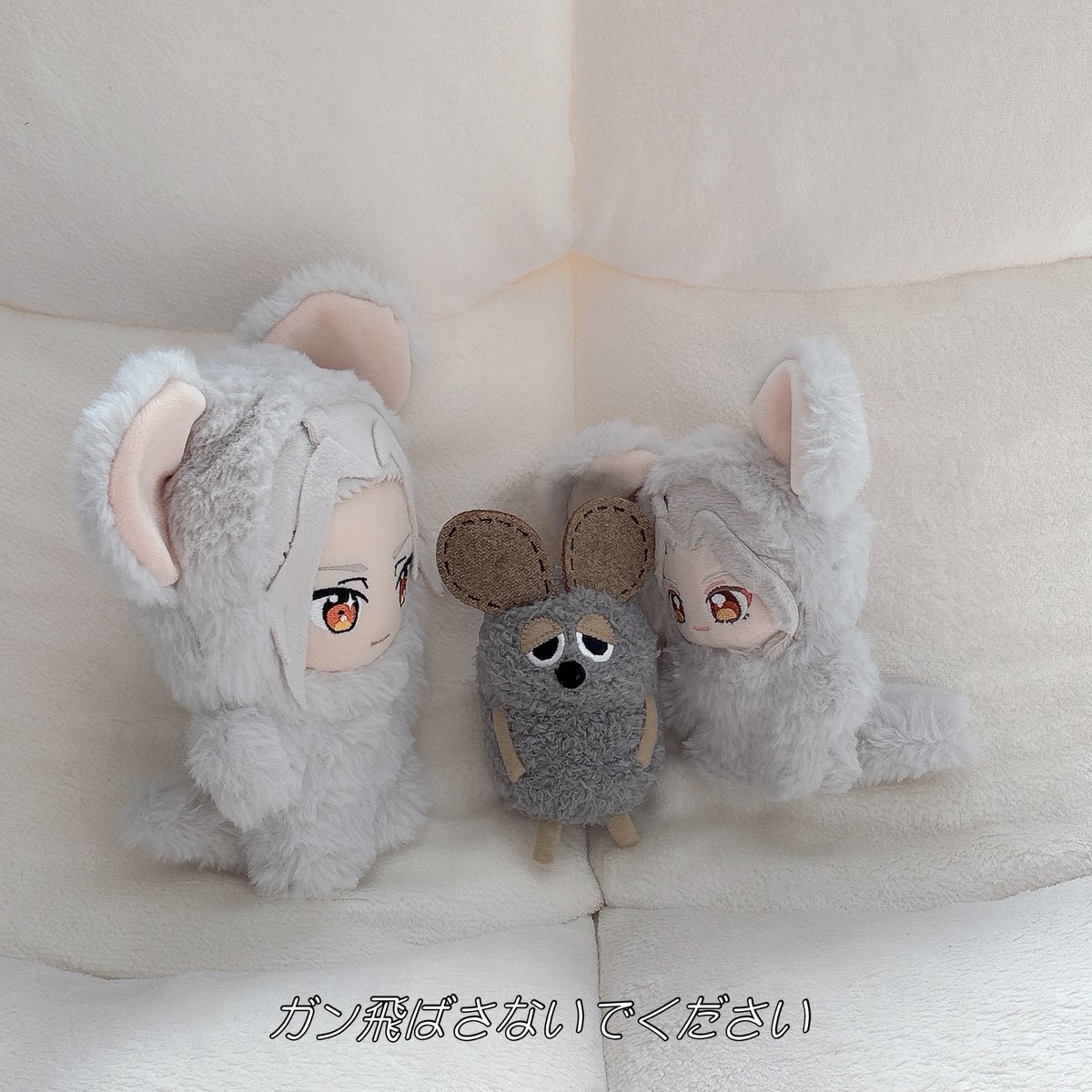 nui_time's tweet image. 新入り🐭