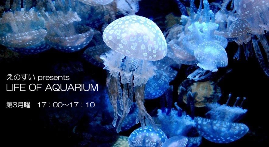 enosui_com's tweet image. FMヨコハマで毎月第3月曜日、ワイド番組「Tresen」 内の新江ノ島水族館のコーナー。きのう7月21日の放送では、イルカの「音」をご紹介しました🎤
fmyokohama.jp/enosui/2025/07…
radikoのタイムフリーで1週間お聴きいただけます📱
radiko.jp/share/?sid=YFM…