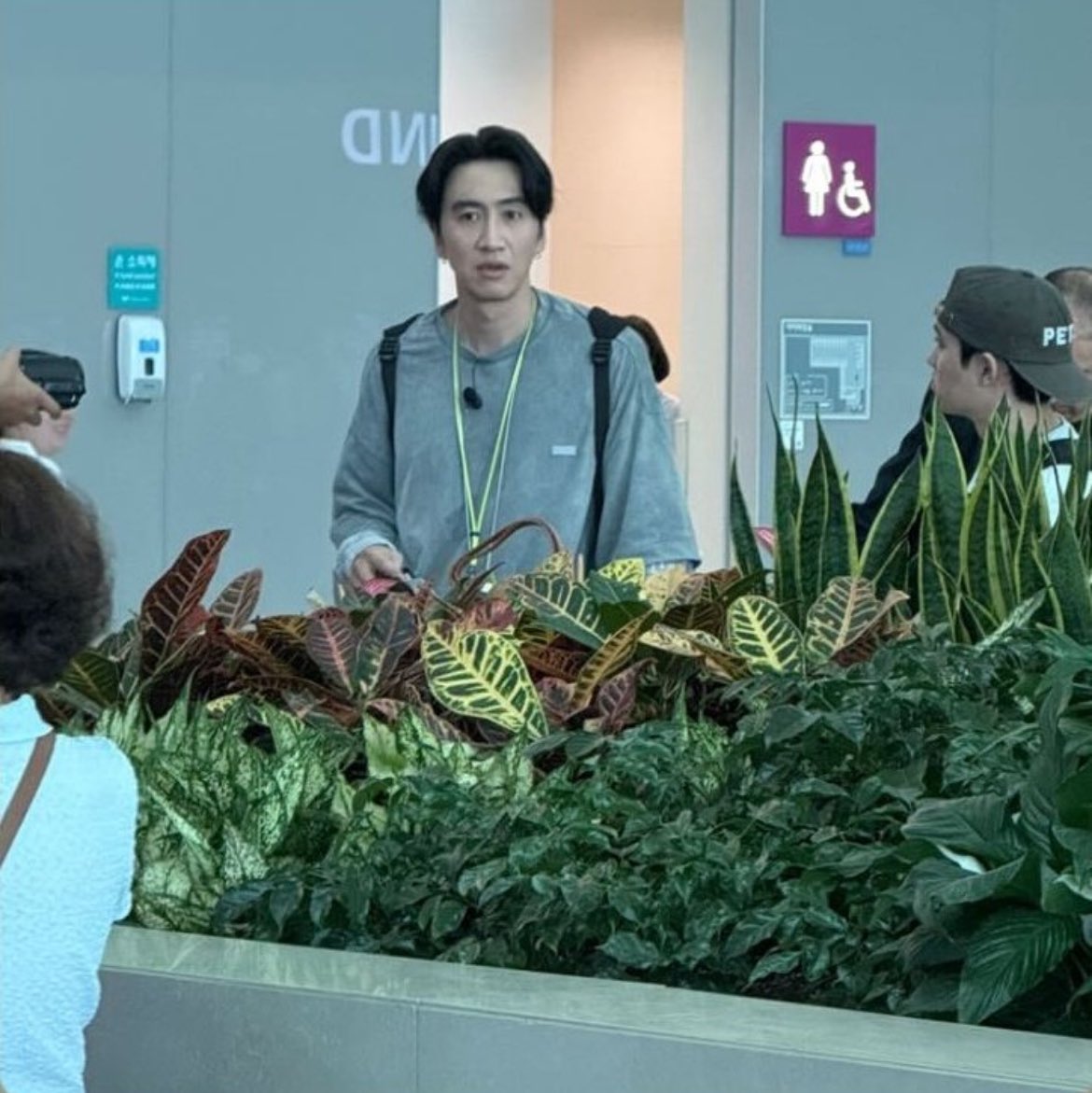 꽃이라서 저깃나?