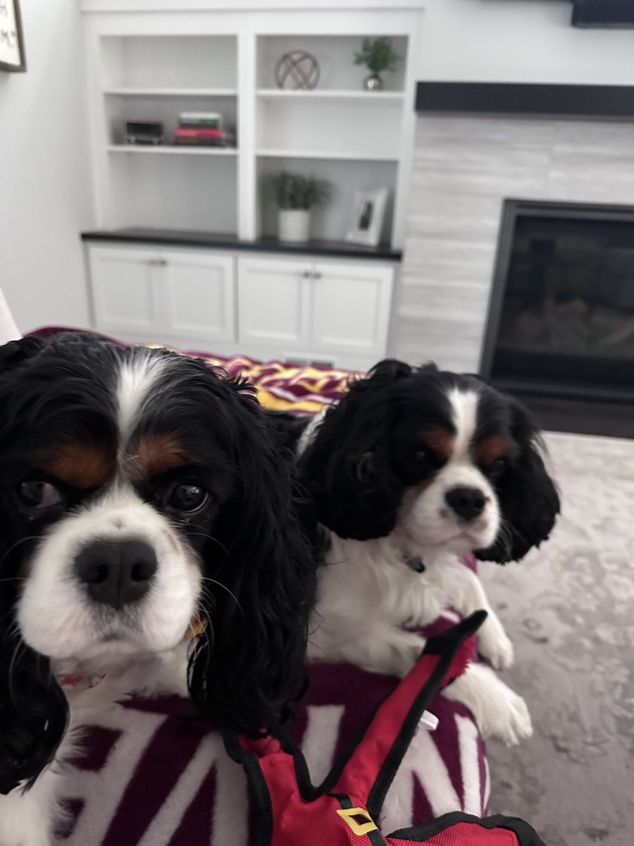 fishmornings's tweet image. You don’t always know who your friends are going to be, but then all of a sudden you become best friends with Phoebe 

#FreddieAndFish