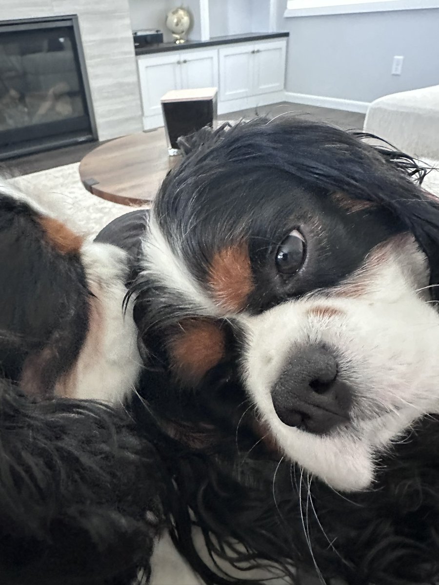 fishmornings's tweet image. You don’t always know who your friends are going to be, but then all of a sudden you become best friends with Phoebe 

#FreddieAndFish