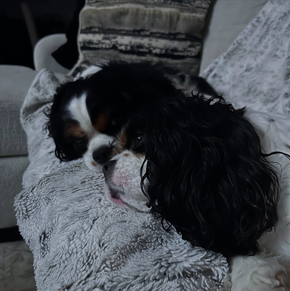 fishmornings's tweet image. You don’t always know who your friends are going to be, but then all of a sudden you become best friends with Phoebe 

#FreddieAndFish