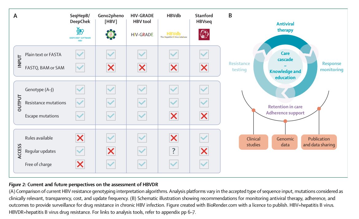 AliSMV7's tweet image. Hepatitis B virus resistance to nucleos(t)ide analogue therapy: WHO consultation on questions, challenges, and a roadmap for the field
doi.org/10.1016/j.lanm…