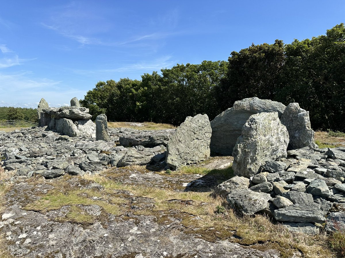 fraglast's tweet image. The remains of what is now Trefignath Chambered Tomb, Caergybi.
Three phases of the Neolithic, followed by stone robbing and surrounding development.
#TombTuesday