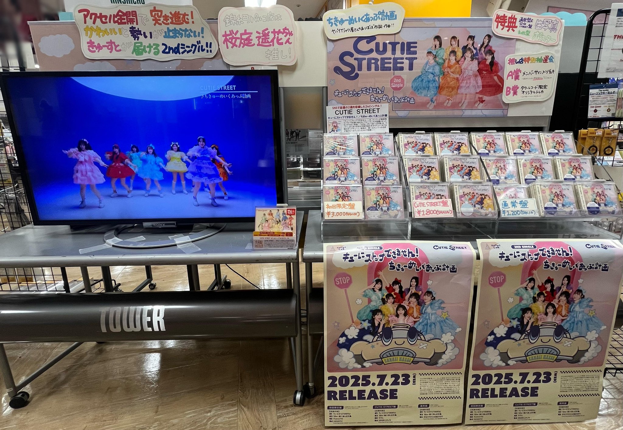 だぶる♡ フィギュア専門店 -ソダチトイズ / 予約 ZCWO Fools Paradise