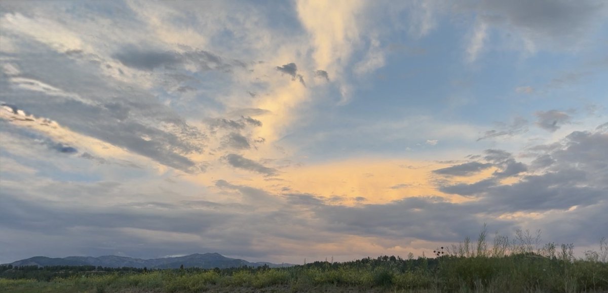 Another good day. 

San Juan National Forest

Remember, visit YOUR National Forest / Park / Monument / Recreation Area.
