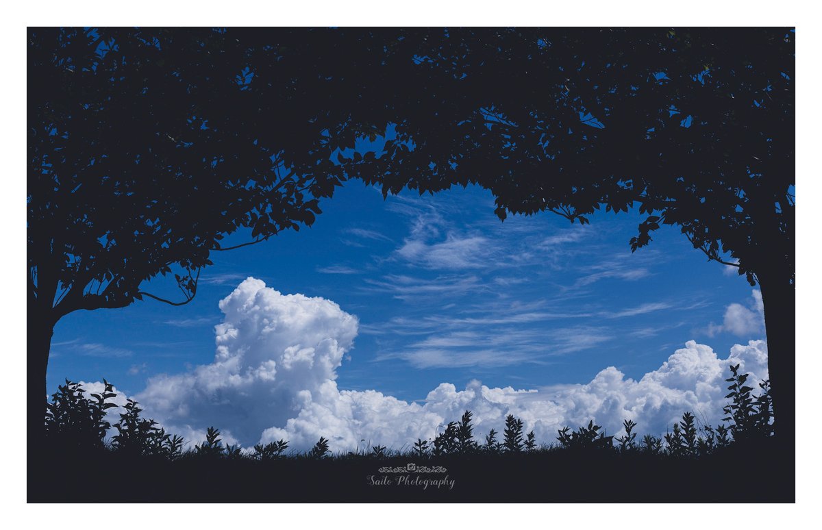 atomu0808's tweet image. 「夏窓」