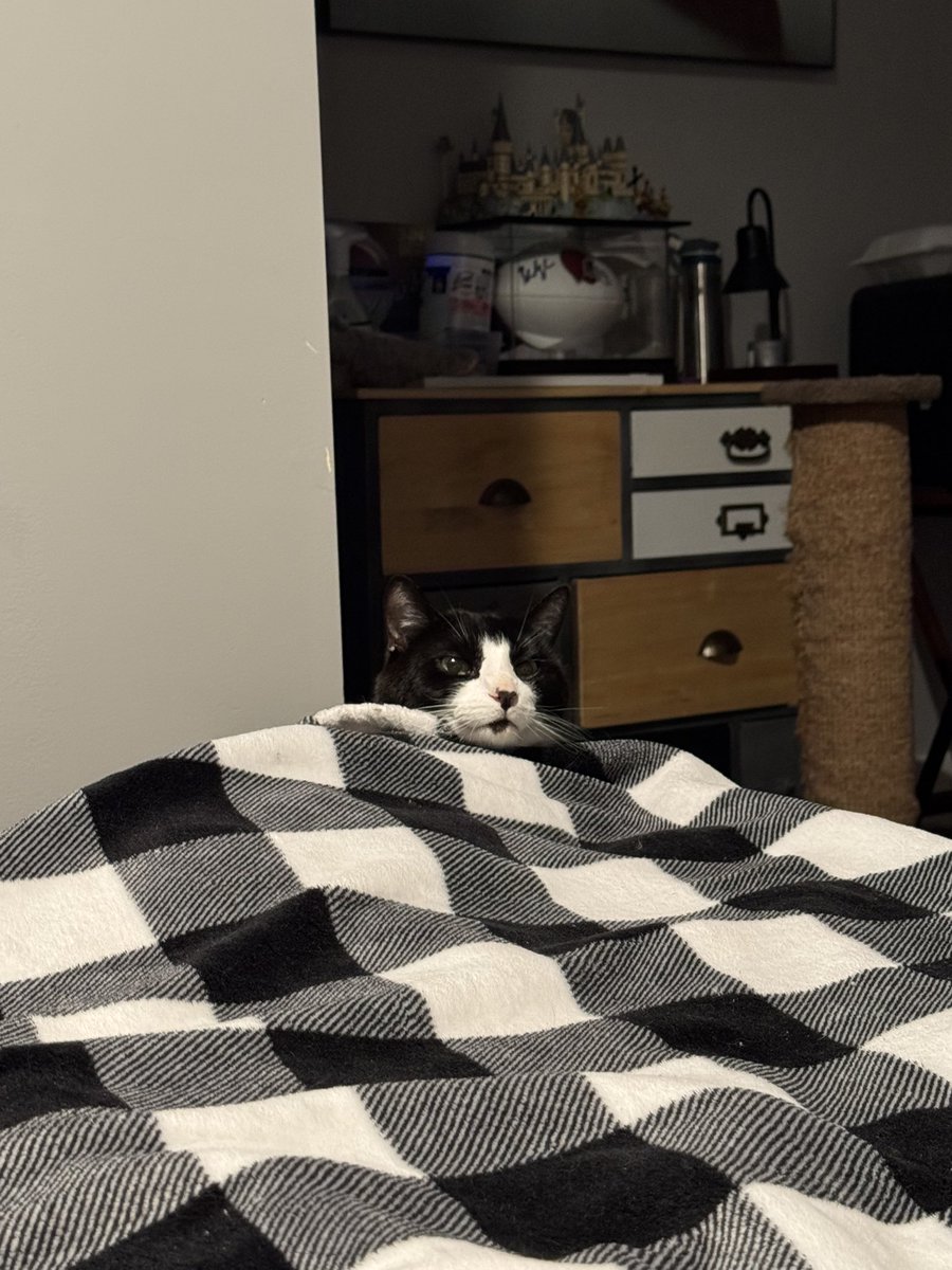 Ph∆ntøm👁️⃤△ tweet media