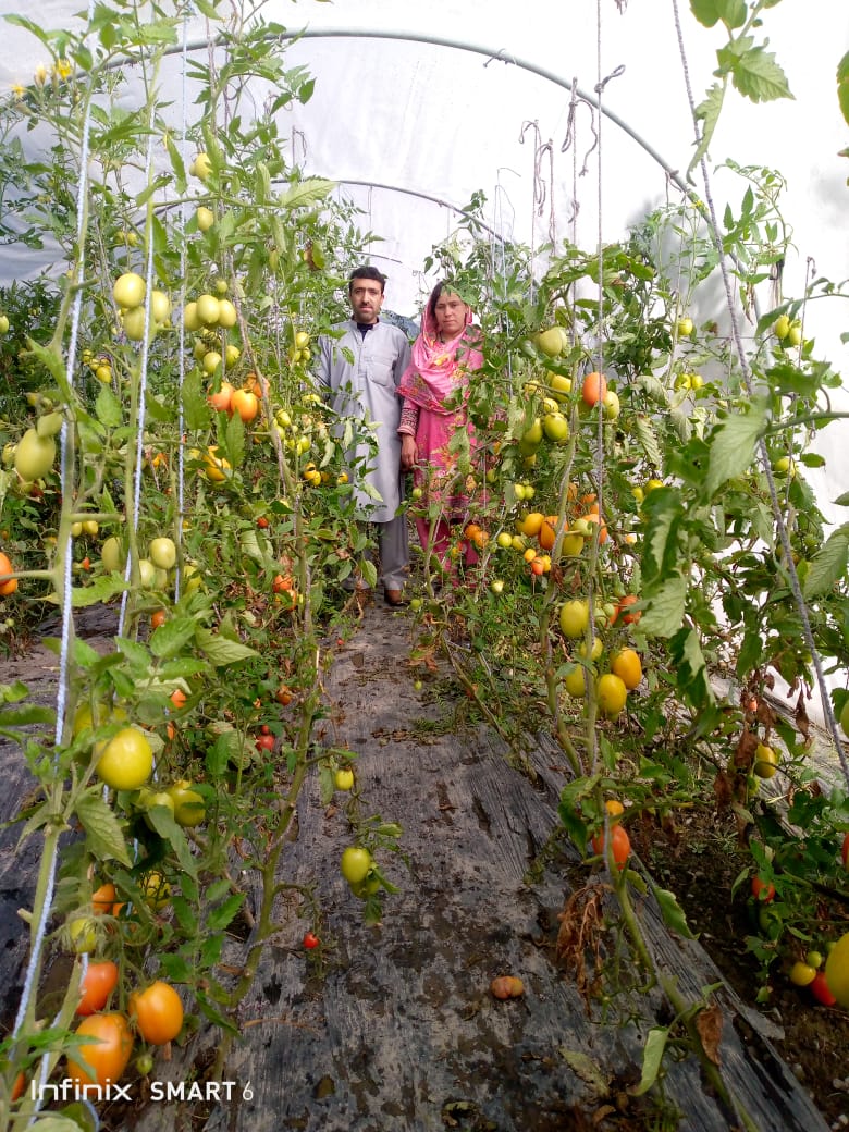 AgroXperts's tweet image. Subsistence farming is the common practice of farmers in #GilgitBaltistan however farmers are trying to change. This year around 300 farmers are producing about 400 Mts.