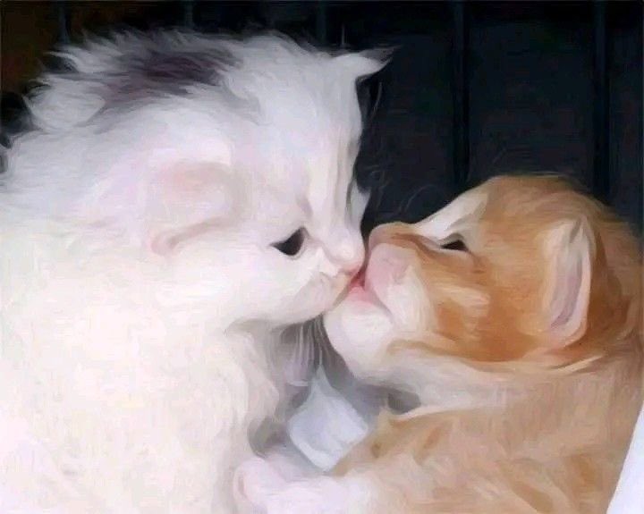 everydayalli's tweet image. ough,,, ough,,, they're making out,,, and they're both boys,,,