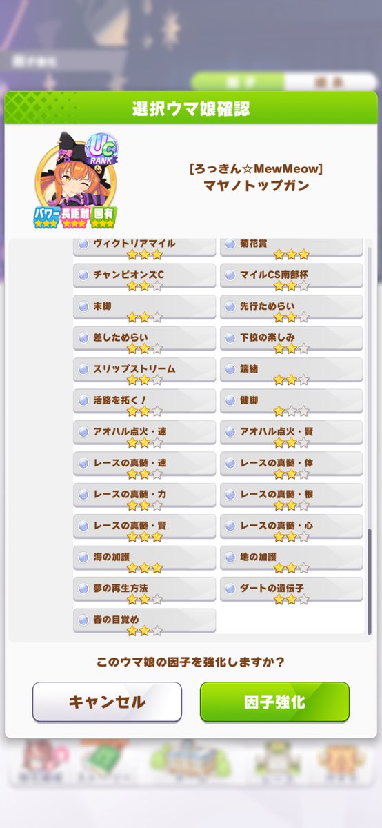 タキオンレポートはこの猫マヤに使用しました！
親と祖に点火、真髄を複数持ち1部加護もあります😁

7月チャンミ終盤頃から代表をこっちにする予定です
 #ウマ娘