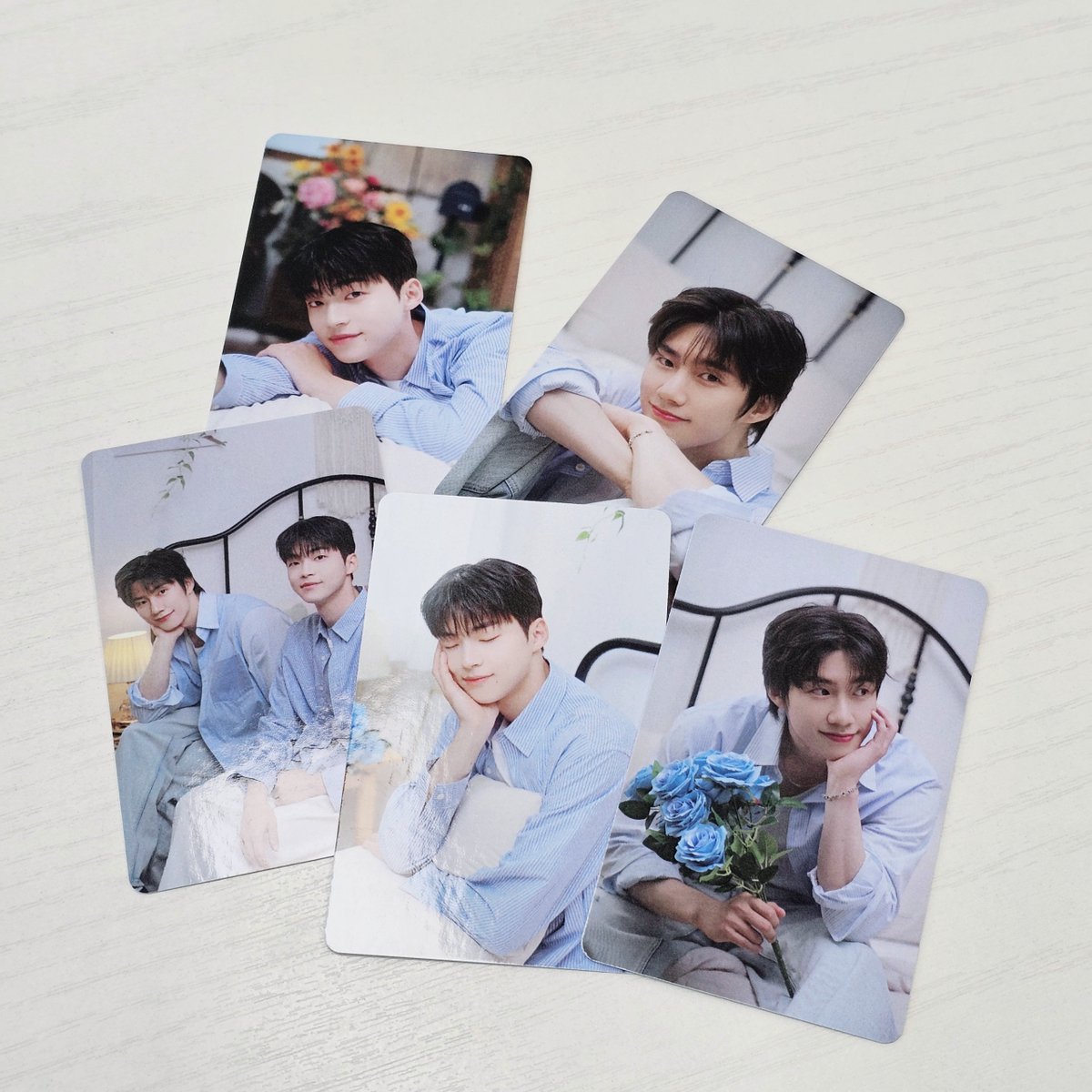 season3johnbur's tweet photo. 🐱나의 별에게 우시 팬미팅 포카 나눔🐶

사진 왼쪽 티켓 특전 포카 / 오른쪽 굿즈 포카

특전 포카(5장) + 굿즈 포카(5장) - 1세트
굿즈 포카(5장) - 6세트
총 7분 추첨

☑️방식 : RT
☑️조건 : 팬미팅 안 다녀오신 나별 관련 계정 (한국 주소만 배송 가능)
☑️재판매 금지 / 무료 재양도 가능 

두 배우 모두 좋아하시는 분만 알티해주세요. 두 배우 모두 아까시는 나별휀걸들만 드리고 싶어��🙂
당발은 토요일쯤 할게용!