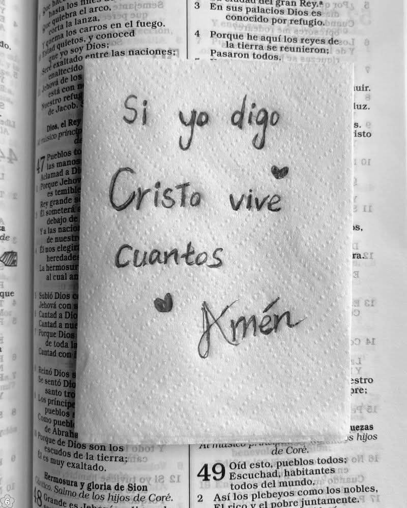Biblia_Linea's tweet image. 