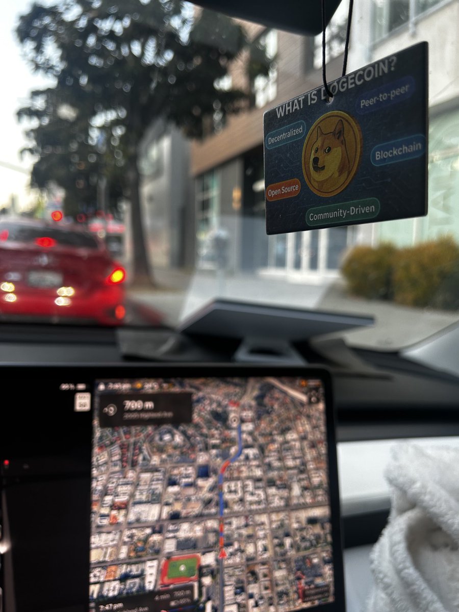 ResilientRye's tweet image. This is the way @dogetipping thank you after spending 72 hours in my car it smells good again🔥