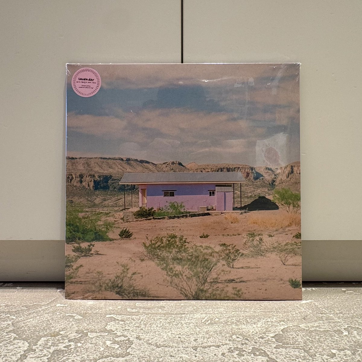 人気コンピで知られるLate Night Talesが主宰するレーベル〈Night Time Stories〉の最新作は、Rinse FMやWorldwide FMなどで取り上げられたOskar RiceとAdam Jacksonの2人から成る注目のエレクトロニック・デュオlavenderのデビューアルバム！

beams.co.jp/item/beamsreco…