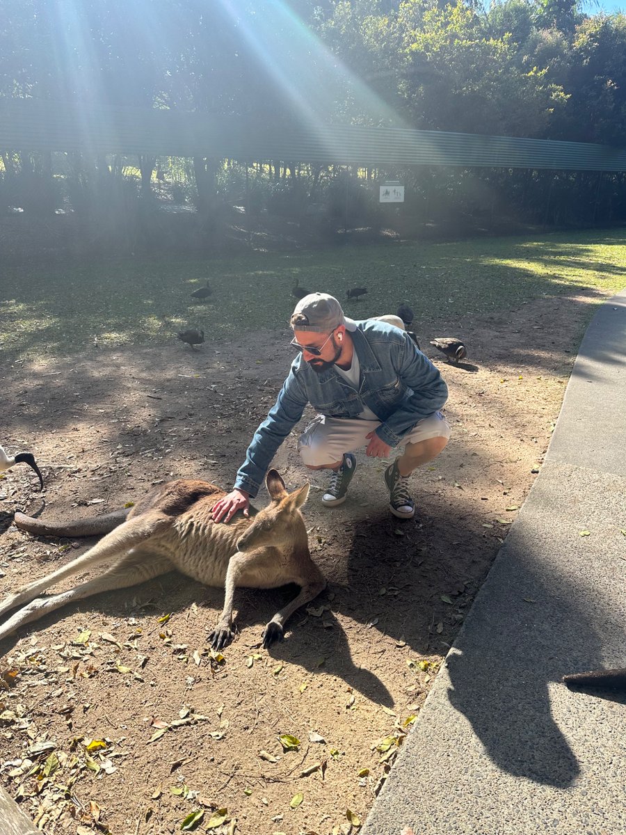 Gordillo220's tweet photo. En Australia Queensland 🦘🦘
@AustraliaZoo Steve Irwin’s Legacy 
Awesome https://t.co/yAfvQ2bRPk