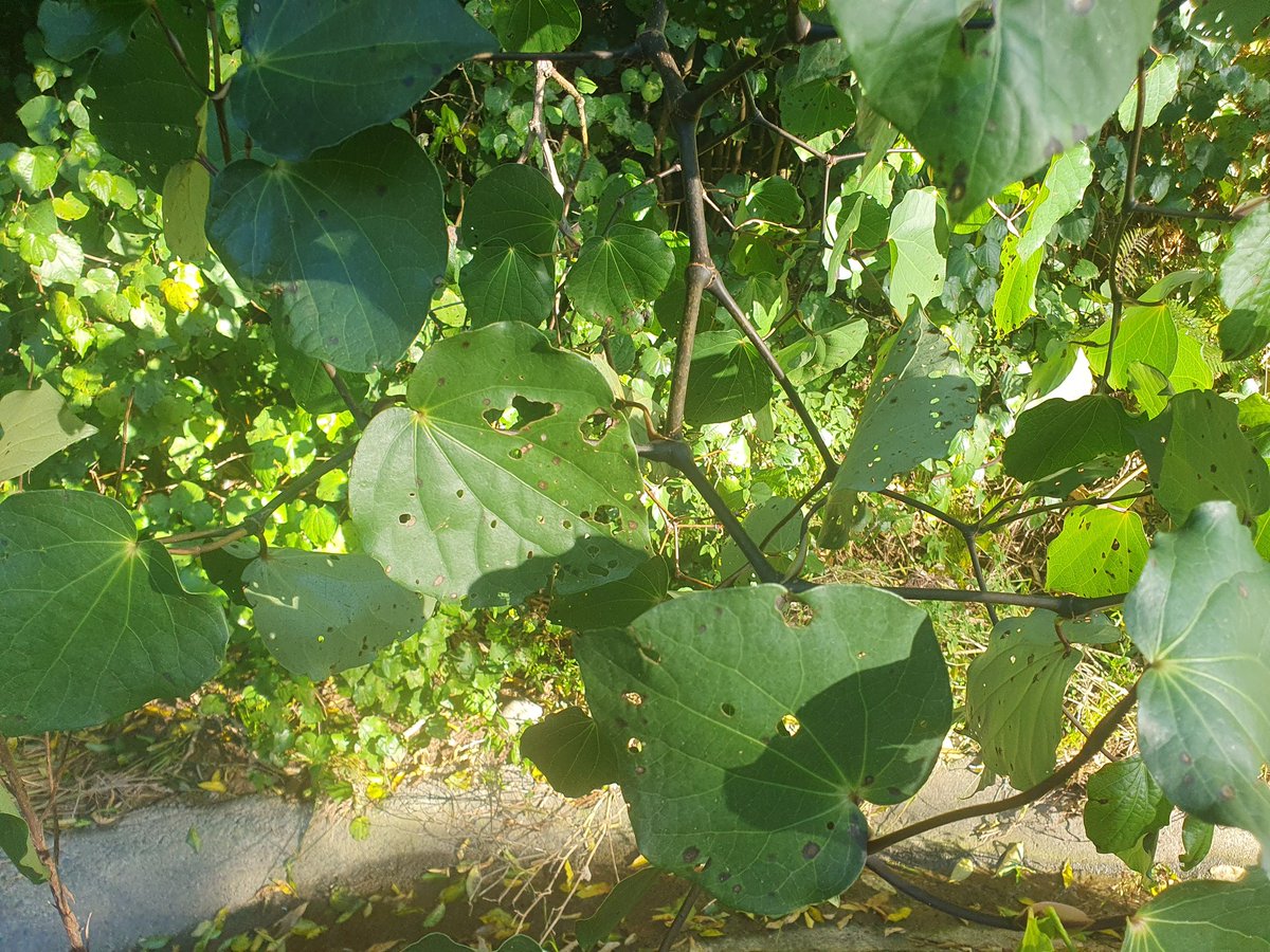 Mark Hubbard. tweet media