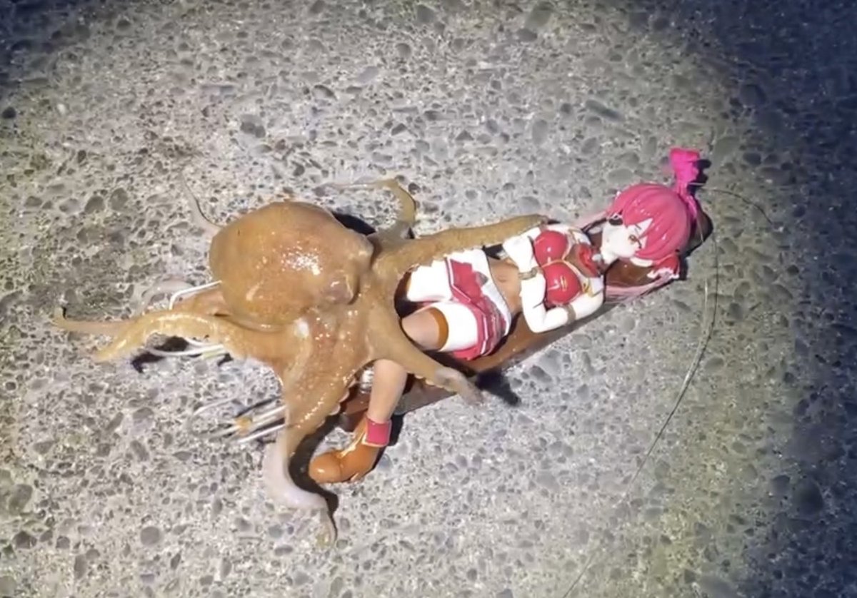 マリン船長型のタコルアー完成しました！

実は12月に完成していたのですが、肝心のタコを掛けるまで半年かかりました。
その時釣れるとは思わず、釣り上げる瞬間を撮影出来なかったのが悔やまれます。
とはいえ無事に釣って、さながら「蛸と海人」の様な画が撮れました！
H!

#マリンのお宝