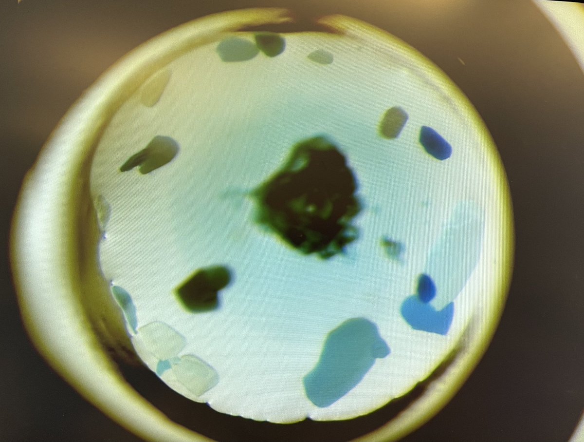 SendkerFL's tweet image. Man, protein crystallography is so fun whenever it is not the worst thing in the world 🥹
