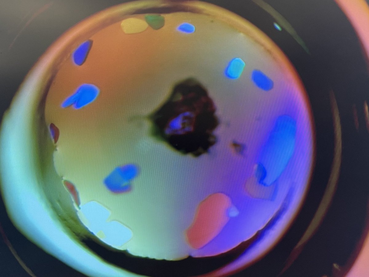 SendkerFL's tweet image. Man, protein crystallography is so fun whenever it is not the worst thing in the world 🥹