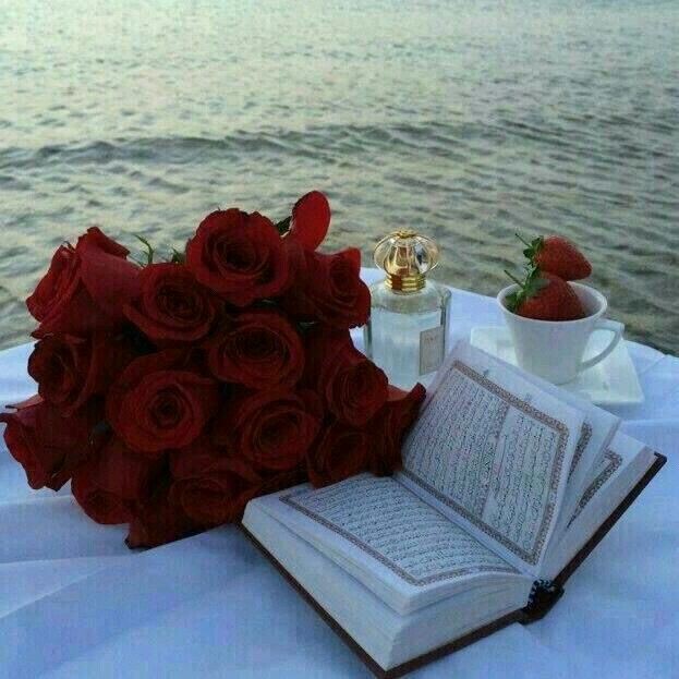 Sakoon_me's tweet image. السلام علیکم
صبح بخیر دوستوں 🫶🏻
سورة یوسف ہمیں سیکھاتی ہے
اللہ تمہیں انہی لوگوں کے سامنے دوبارہ کھڑا کرے گا جہنوں نے تمہیں توڑا تھا ، مگر اس وقت تمہارا معیار اور مقام الگ ہو گا..❣️