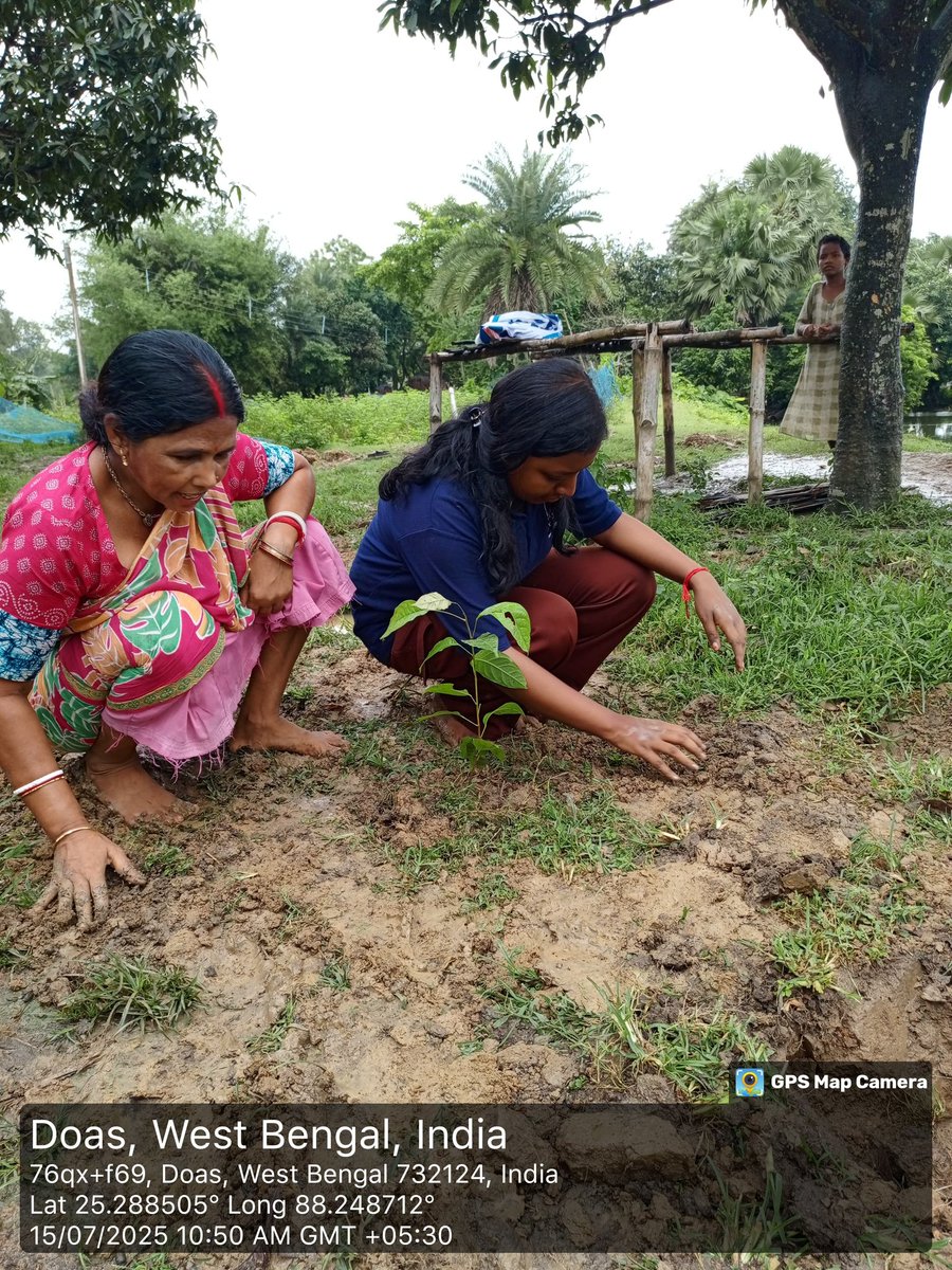TanushreeM89383's tweet photo. I also participated in the tree plantation program during this Van Mahotsav (Forest Week).
I am truly delighted to have been a part of the week-long activities and to have contributed through my involvement. 💚💚
@MaldaNss @_NSSIndia @BhartiyaConnect #TreePlantation #forestweek https://t.co/OUGGf2OLra
