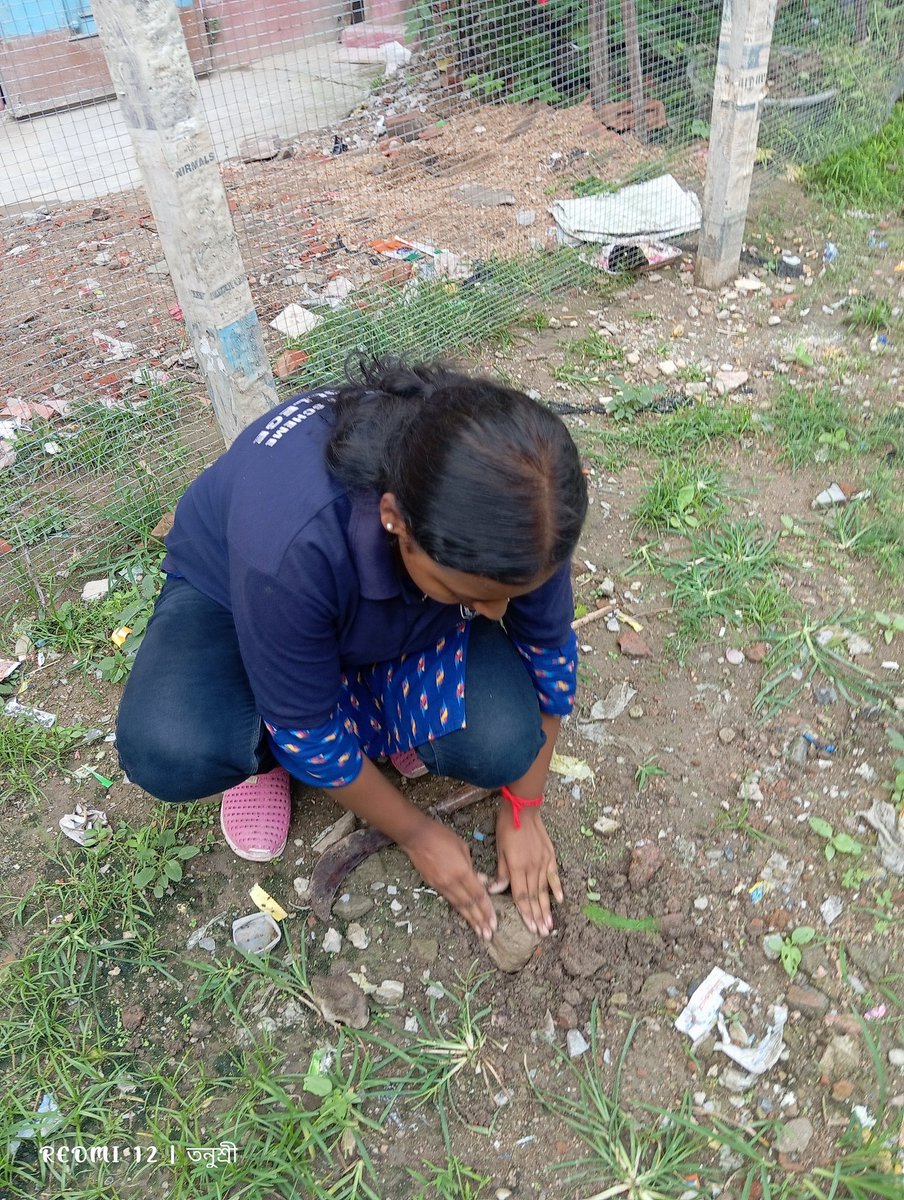 TanushreeM89383's tweet photo. I also participated in the tree plantation program during this Van Mahotsav (Forest Week).
I am truly delighted to have been a part of the week-long activities and to have contributed through my involvement. 💚💚
@MaldaNss @_NSSIndia @BhartiyaConnect #TreePlantation #forestweek https://t.co/OUGGf2OLra