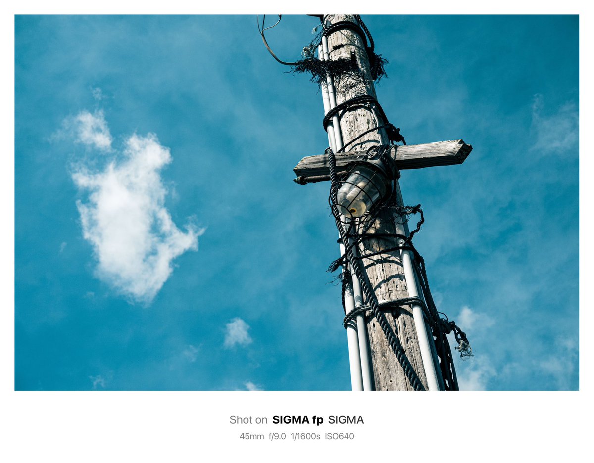 shogo240's tweet photo. いつぞやのSIGMA fpで撮った写真。

やっぱいいね。 https://t.co/EQb0ufjvTZ