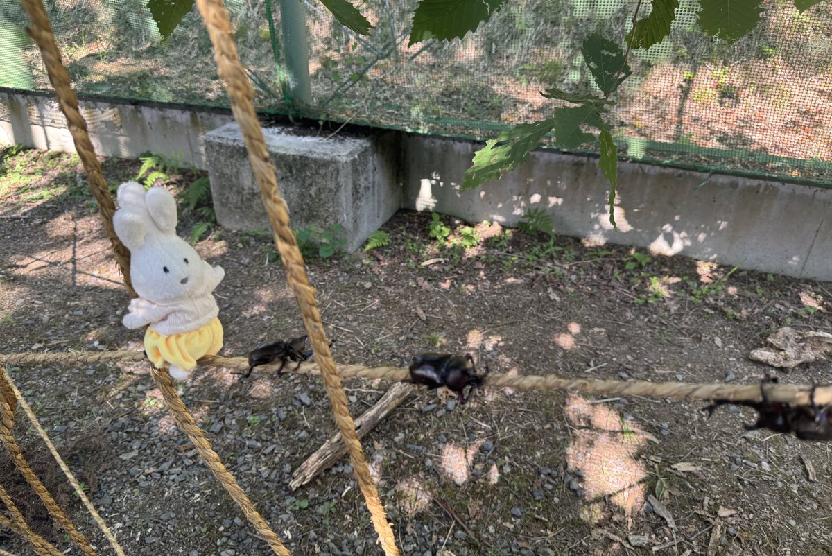 おっとっと👣⸒⸒☀️